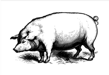 1784 Pig Roast