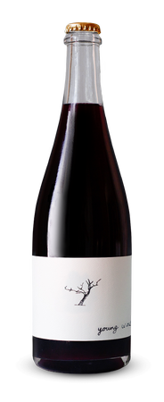2019 Young Wine Red