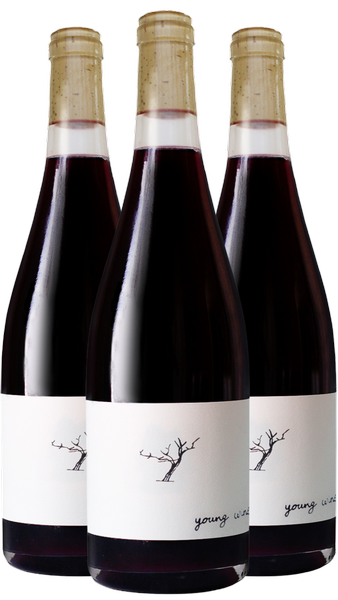 Young Wine Red Trio